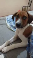 Chamo de Doby .