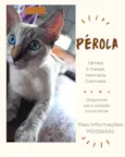 Pretinho e pérola