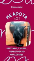 Pretinho