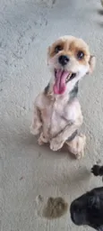 Lucy