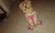 Lucy