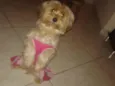 Lucy