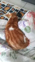 fred