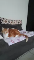 fred