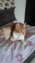 fred