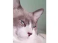 Mo