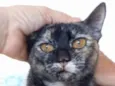 Luiza
