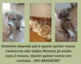 Ainda não tem nome 