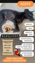 Marujinho