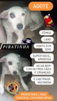 Piratinha