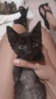 Neguinho