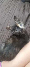 Lili