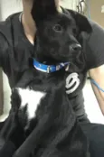 Baby Otto