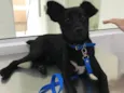Baby Otto