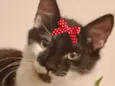 Tina 