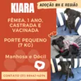 Kiara