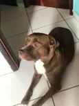 Nala