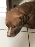 Nala