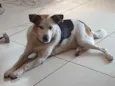Zé