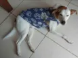 Zé