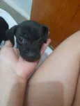 Sem identificação
