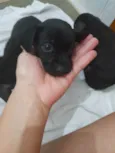 Sem identificação