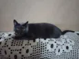 Billy