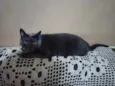 Billy