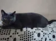 Billy