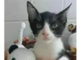 OTTO