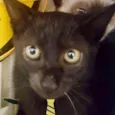 Billy 