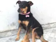 Nina