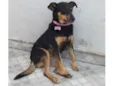 Nina