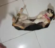 ???
