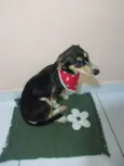 ???
