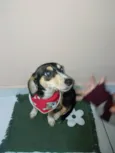 ???