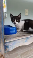 Dora