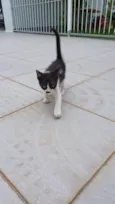 Dora