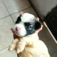 Não tem nome ainda