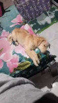 Marlon 