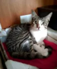 Francisco