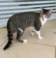 Francisco