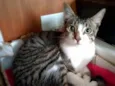 Francisco
