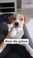 Laika