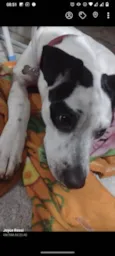 Zayra