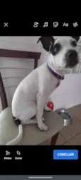 Zayra