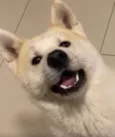 Marley