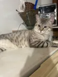 Remy