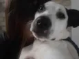 Zayra