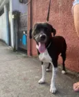 Bob 
